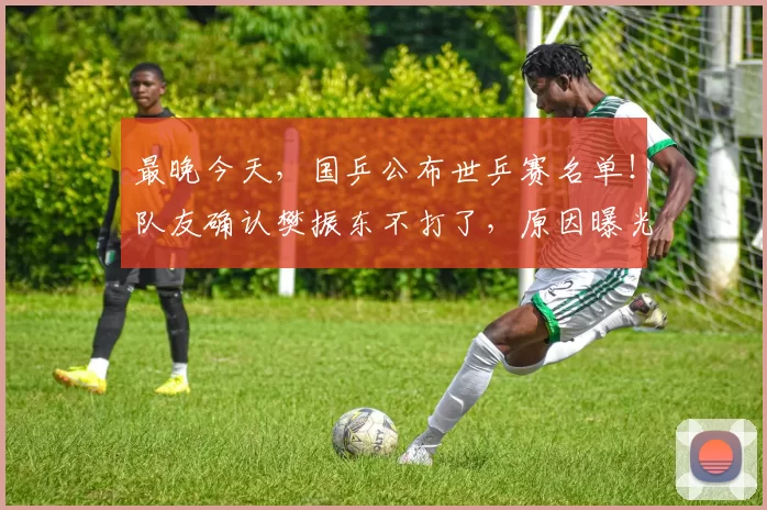 最晚今天，国乒公布世乒赛名单！队友确认樊振东不打了，原因曝光